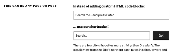 How Site Search 360 shortcodes look on your site